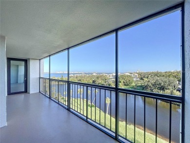 One or more photo(s) has been virtually staged. Unmatched Views on Belleair Country Club in Florida - for sale on GolfHomes.com, golf home, golf lot
