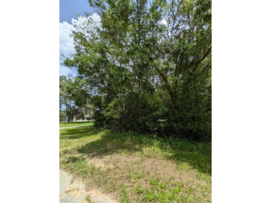 Build your dream home on this spacious 0.2554-acre corner lot on Citrus Springs Country Club in Florida - for sale on GolfHomes.com, golf home, golf lot