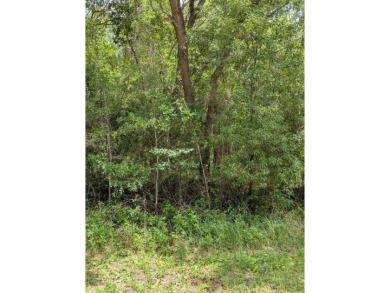 Build your dream home on this spacious 0.2554-acre corner lot on Citrus Springs Country Club in Florida - for sale on GolfHomes.com, golf home, golf lot
