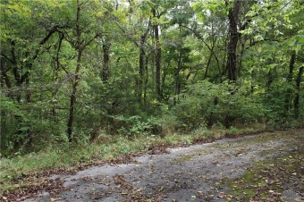 Large Cul-De-Sac lot with a gentle slope. Located in a on Bella Vista Country Club - Highlands in Arkansas - for sale on GolfHomes.com, golf home, golf lot