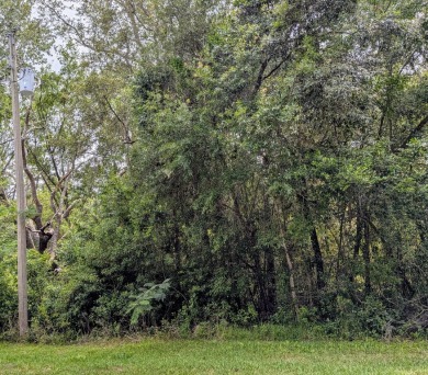 Discover the perfect canvas for your future home on this 10,000 on Citrus Springs Country Club in Florida - for sale on GolfHomes.com, golf home, golf lot