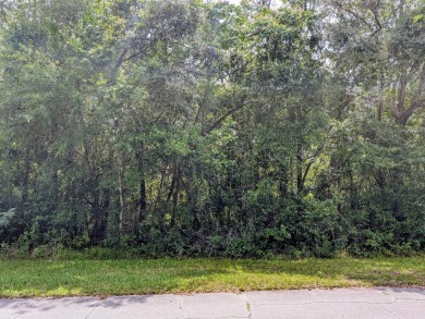 Discover the perfect canvas for your future home on this 10,000 on Citrus Springs Country Club in Florida - for sale on GolfHomes.com, golf home, golf lot