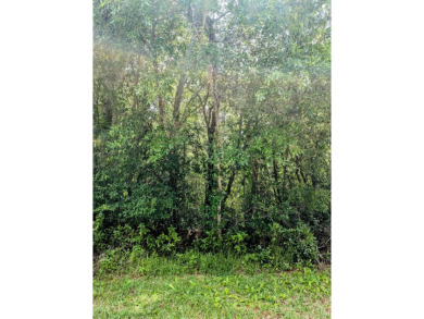 Discover the perfect canvas for your future home on this 10,000 on Citrus Springs Country Club in Florida - for sale on GolfHomes.com, golf home, golf lot