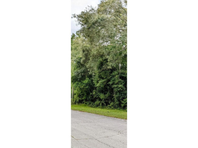 Discover the perfect canvas for your future home on this 10,000 on Citrus Springs Country Club in Florida - for sale on GolfHomes.com, golf home, golf lot