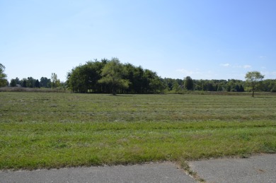 Presenting the 128 buildable lots available off scenic Lake on Island Hills Golf Club in Michigan - for sale on GolfHomes.com, golf home, golf lot
