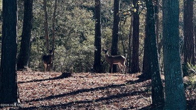 Set on more than half an acre, this surveyed and partially on Lockwood Folly Country Club in North Carolina - for sale on GolfHomes.com, golf home, golf lot