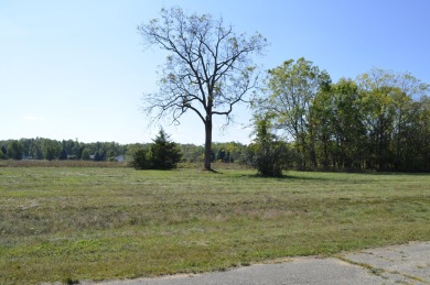 Presenting the 128 buildable lots available off scenic Lake on Island Hills Golf Club in Michigan - for sale on GolfHomes.com, golf home, golf lot