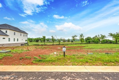 Lot 29 GOLF FRONT LOT overlooking Tennessee National's hole #4 on Tennessee National Golf Club in Tennessee - for sale on GolfHomes.com, golf home, golf lot