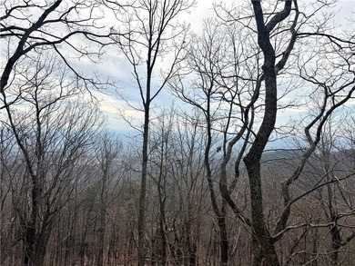 Craftsman Retreat in Bent Tree with Privacy and Possibility of on Bent Tree Golf Course in Georgia - for sale on GolfHomes.com, golf home, golf lot