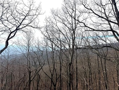 Craftsman Retreat in Bent Tree with Privacy and Possibility of on Bent Tree Golf Course in Georgia - for sale on GolfHomes.com, golf home, golf lot