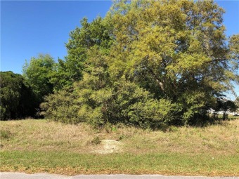 Grab it while you can! Here is one of the very few vacant lots on Inverness Golf & Country Club in Florida - for sale on GolfHomes.com, golf home, golf lot