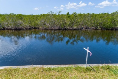This is your chance to own your piece of paradise! Located in on Twin Isles Country Club in Florida - for sale on GolfHomes.com, golf home, golf lot