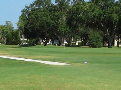 ON THE 18th FAIRWAY! If you've ever thought about living on the on On Top Of The World Golf Course in Florida - for sale on GolfHomes.com, golf home, golf lot
