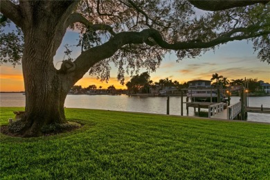 Welcome to an exquisite waterfront haven nestled within the on The Renaisssance Vinoy Golf Club in Florida - for sale on GolfHomes.com, golf home, golf lot