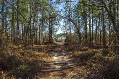 Opportunity Knocks! 23+ Acres of Piney Woods with over 460 feet on Midland Valley Country Club in South Carolina - for sale on GolfHomes.com, golf home, golf lot
