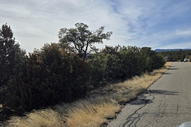 Here is your chance to create your own slice of paradise in on Paa-Ko Ridge Golf Club  in New Mexico - for sale on GolfHomes.com, golf home, golf lot