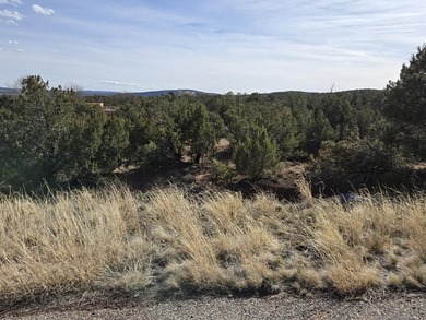 Here is your chance to create your own slice of paradise in on Paa-Ko Ridge Golf Club  in New Mexico - for sale on GolfHomes.com, golf home, golf lot