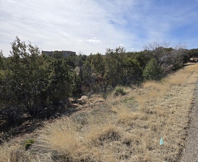 Here is your chance to create your own slice of paradise in on Paa-Ko Ridge Golf Club  in New Mexico - for sale on GolfHomes.com, golf home, golf lot