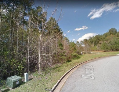 New Construction Lot Available - Golf Course Lot - The Georgian on The Frog Golf Club in Georgia - for sale on GolfHomes.com, golf home, golf lot