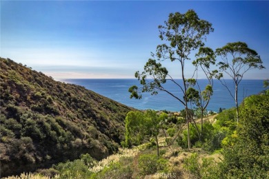 Ocean View! Don Not miss out on this beautiful home with on Aliso Creek Inn and Golf Course in California - for sale on GolfHomes.com, golf home, golf lot