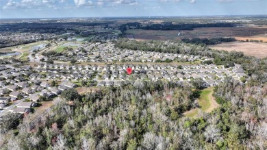 Welcome to your dream home in the heart of Ridgewood Lakes! This on Ridgewood Lakes Golf and Country Club in Florida - for sale on GolfHomes.com, golf home, golf lot