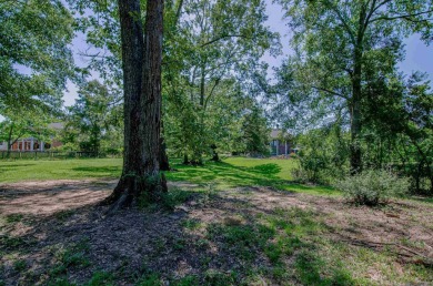 This home has it all!  Located in Prairieville in Manchac on Santa Maria Golf Club in Louisiana - for sale on GolfHomes.com, golf home, golf lot