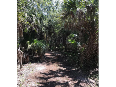 This buildable lot is perfectly located on a dead end cul de sac on Twin Brooks Golf Course in Florida - for sale on GolfHomes.com, golf home, golf lot