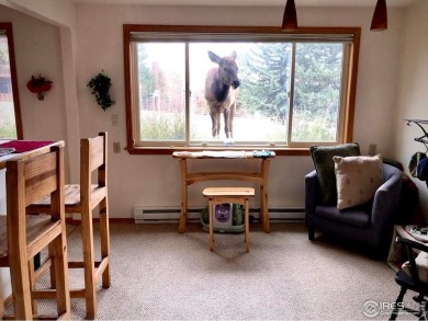 Set against the backdrop of Estes Park's natural beauty, this on Estes Park Golf Course in Colorado - for sale on GolfHomes.com, golf home, golf lot