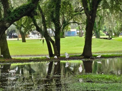 IF YOU ARE LOOKING FOR A 2 BEDROOMN 2 BATH IN MOVE-IN CONDITION on Southport Springs Golf Club in Florida - for sale on GolfHomes.com, golf home, golf lot
