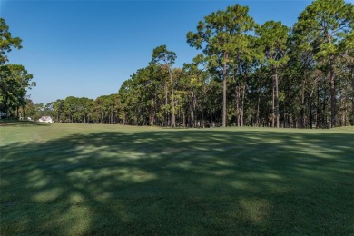 Beautiful lot to move a manufactured home into Brookridge-a 55+ on Brookridge Country Club in Florida - for sale on GolfHomes.com, golf home, golf lot