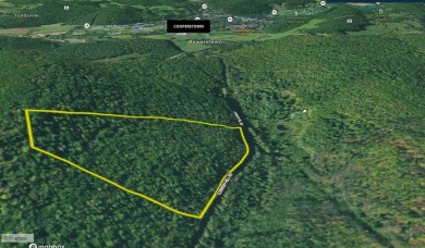 Beautiful wooded parcel, ideally situated on a paved road with on Leatherstocking Golf Course in New York - for sale on GolfHomes.com, golf home, golf lot