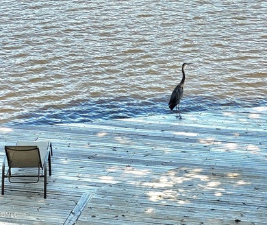 Waterfront home in beautiful Lake Royale with private dock on River Golf and Country Club at Lake Royale in North Carolina - for sale on GolfHomes.com, golf home, golf lot