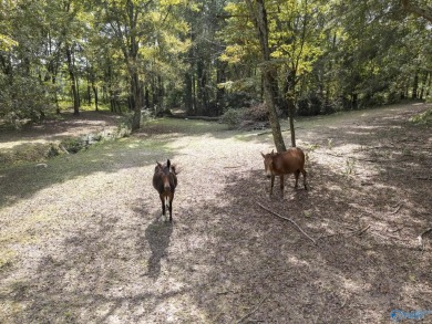 Experience the best of country living with city conveniences in on Brookside Golf Course in Alabama - for sale on GolfHomes.com, golf home, golf lot