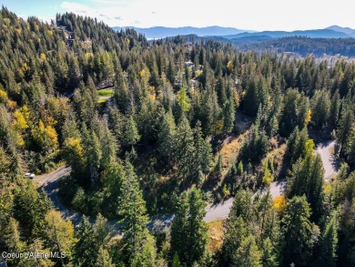 INVESTORS ALERT OR TAKE ADVANTAGE OF THE PRICE TO BUILD YOUR on The Idaho Club in Idaho - for sale on GolfHomes.com, golf home, golf lot