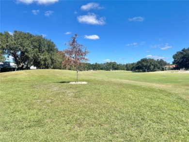 GOLF COURSE VIEW. RIGHT ON THE 6TH HOLE. Beautifully remodeled on Fox Hollow Golf Club in Florida - for sale on GolfHomes.com, golf home, golf lot