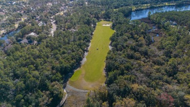 Discover serenity lakefront within the exclusive gated community on Sharks Tooth Golf Club in Florida - for sale on GolfHomes.com, golf home, golf lot