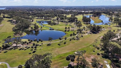 Stunning Spanish Mediterranean Custom Home in Las Colinas Gated on Mission Inn Resort and Club in Florida - for sale on GolfHomes.com, golf home, golf lot