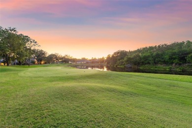 Under contract-accepting backup offers. Welcome to your dream on TPC of Tampa Bay in Florida - for sale on GolfHomes.com, golf home, golf lot