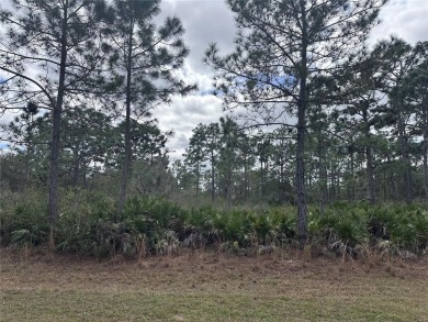 Build your home in a ONE-ACRE! Lots to be sold together they are on Indian Lake Estates Golf and Country Club in Florida - for sale on GolfHomes.com, golf home, golf lot