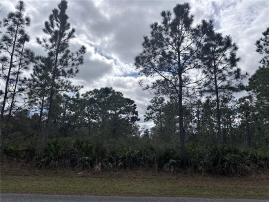 Build your home in a ONE-ACRE! Lots to be sold together they are on Indian Lake Estates Golf and Country Club in Florida - for sale on GolfHomes.com, golf home, golf lot