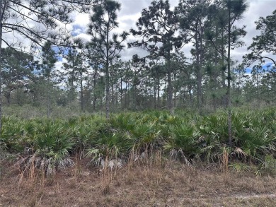 Build your home in a ONE-ACRE! Lots to be sold together they are on Indian Lake Estates Golf and Country Club in Florida - for sale on GolfHomes.com, golf home, golf lot