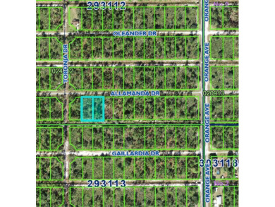 Build your home in a ONE-ACRE! Lots to be sold together they are on Indian Lake Estates Golf and Country Club in Florida - for sale on GolfHomes.com, golf home, golf lot