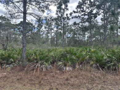 Build your home in a ONE-ACRE! Lots to be sold together they are on Indian Lake Estates Golf and Country Club in Florida - for sale on GolfHomes.com, golf home, golf lot