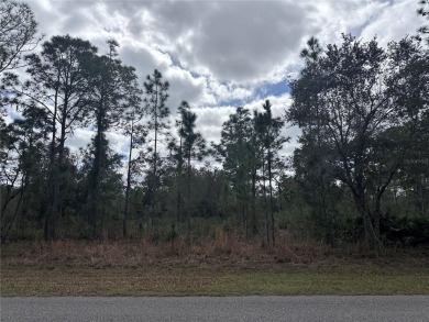 Build your home in a ONE-ACRE! Lots to be sold together they are on Indian Lake Estates Golf and Country Club in Florida - for sale on GolfHomes.com, golf home, golf lot