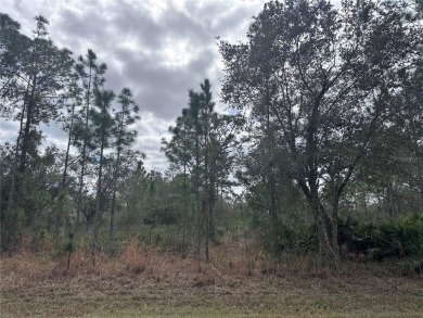 Build your home in a ONE-ACRE! Lots to be sold together they are on Indian Lake Estates Golf and Country Club in Florida - for sale on GolfHomes.com, golf home, golf lot
