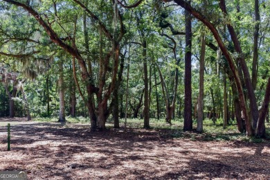Nestled in the heart of Shellman Bluff, this two bedroom/two on Sapelo Hammock Golf Club in Georgia - for sale on GolfHomes.com, golf home, golf lot