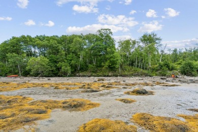 Incredible opportunity to own a large buildable lot on Chebeague on Great Chebeague Golf Club in Maine - for sale on GolfHomes.com, golf home, golf lot