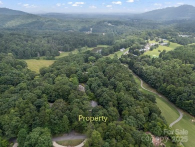 Move-in ready w/many updates, low maintenance yard & seasonal on Rumbling Bald Resort on Lake Lure in North Carolina - for sale on GolfHomes.com, golf home, golf lot
