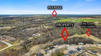 Welcome to this exquisite 3,343 sqft home, offering 5 spacious on Big Sugar Golf Club in Arkansas - for sale on GolfHomes.com, golf home, golf lot