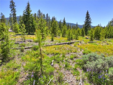 Nestled on the edge of US National Forest Service, this on Keystone Ranch Golf Course in Colorado - for sale on GolfHomes.com, golf home, golf lot